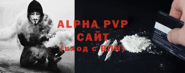 молекула духа Арсеньев