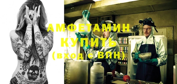 молекула духа Арсеньев
