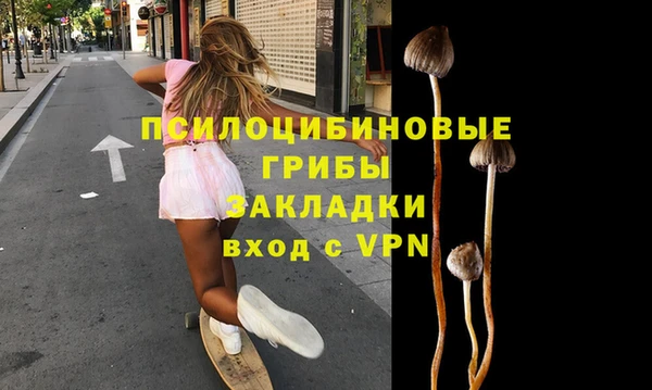 молекула духа Арсеньев