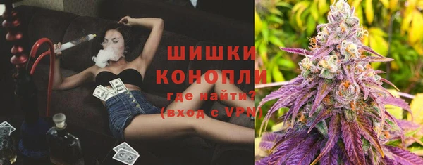 молекула духа Арсеньев