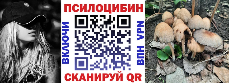 Галлюциногенные грибы GOLDEN TEACHER  Купить закладки  Сочи 